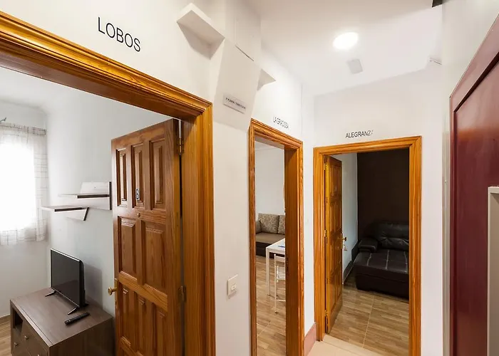 Apartman Palmas Urban Center